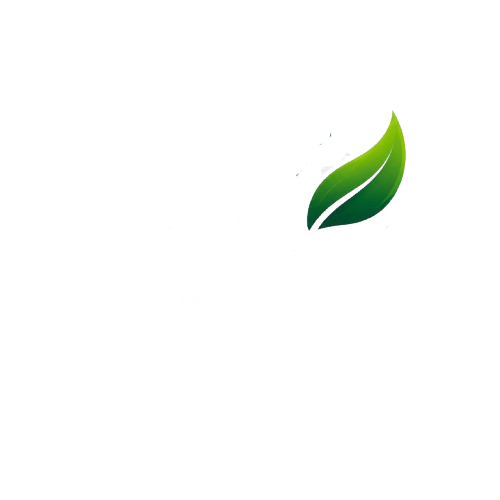 Leader Clean
